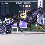 winners bet
